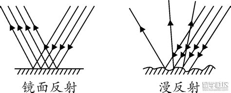 鏡子的反射|鏡面反射